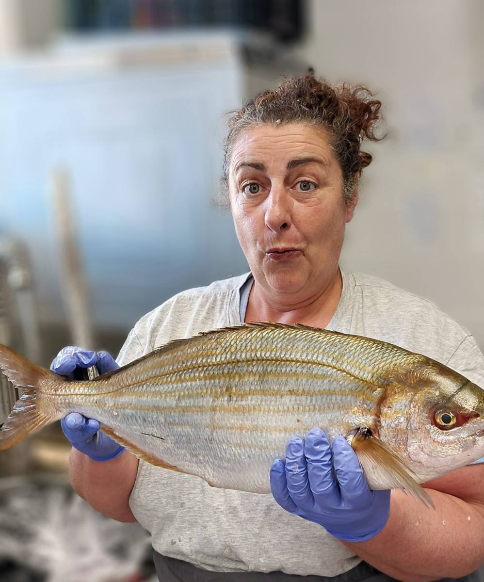 ou manger du poisson frais à biscarrosse plahe
