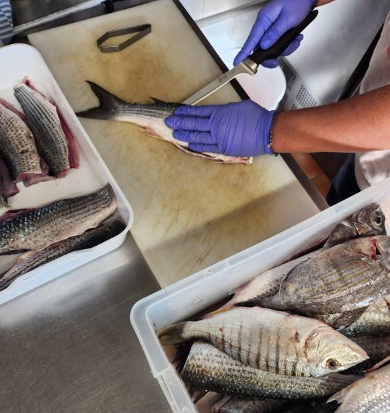 ou manger un poisson de ligne à biscarrosse plage