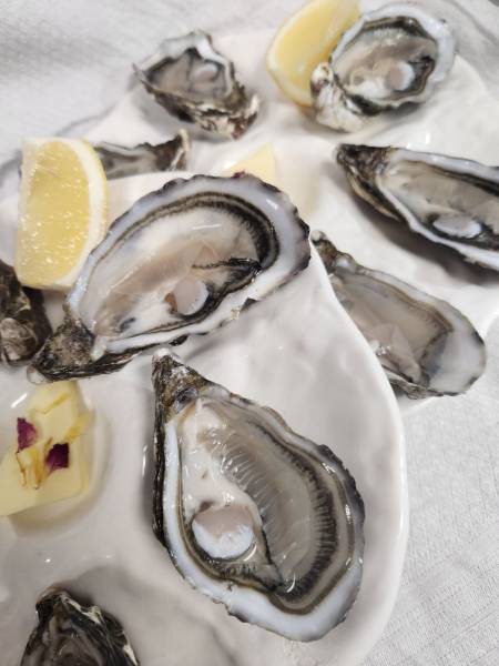 ou déguster des huitres du bassin à biscarrosseb plage