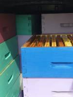 ou manger du miel d apiculteur à biscarrosse plage